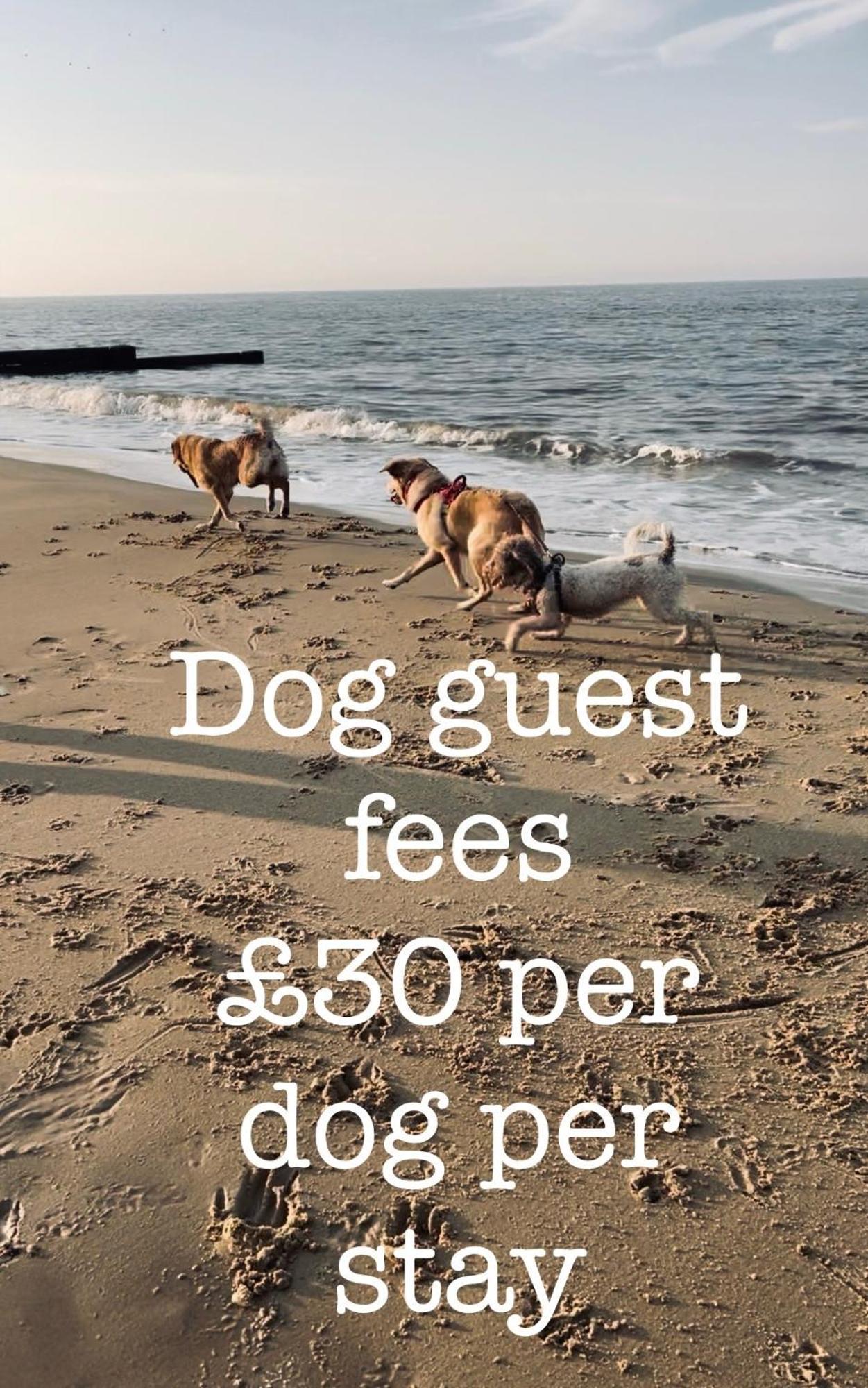 Coastal Terrace Dogs Welcome Optional Hot Tub Vila Sea Palling Exterior foto